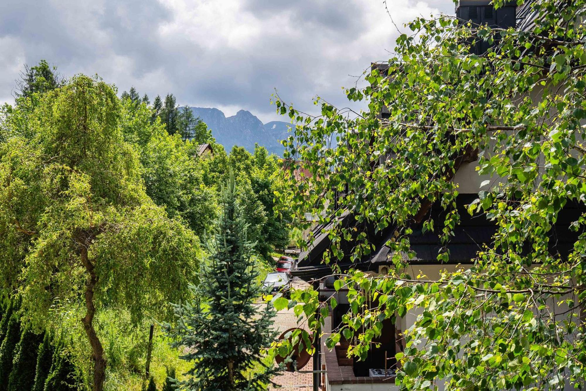 Smrekowa Tatry * Zakopane